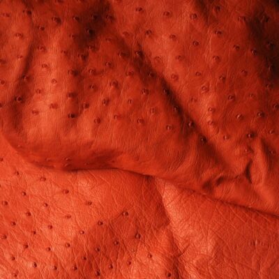 Cuir d'autruche orange Ruadh sellier maroquinier Bretagne Rennes